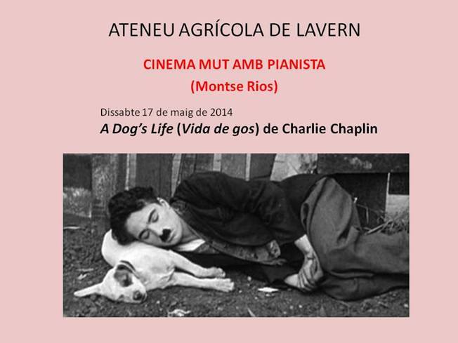 1979603_709057905803952_57806847_n