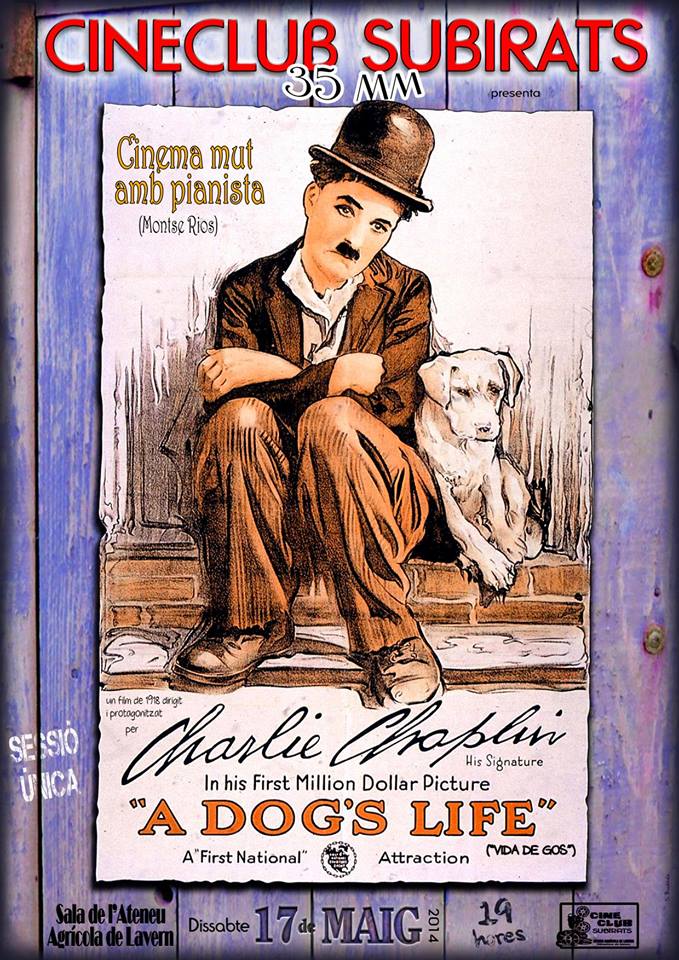 10313349_776729662338687_3565257361772053691_n